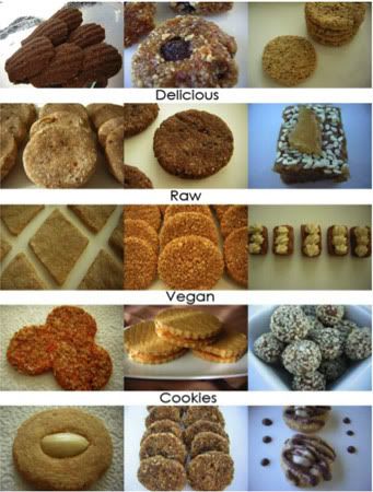 Raw Vegan Cookie Recipes