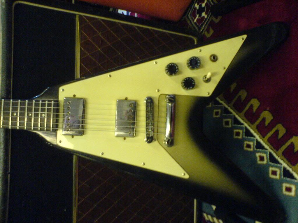 SILVERBURST5.jpg picture by mortenpmb