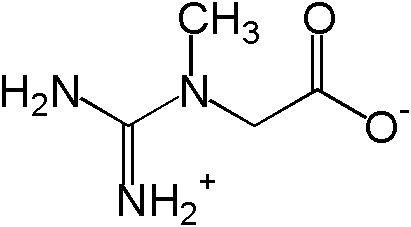Estrutura molecular da Creatina