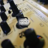 Pete Namlook & Maik Maurice Diehl - 4Voice 2