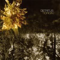 Detritus - Origin