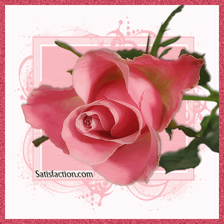 Flowers and Roses Comment Graphic