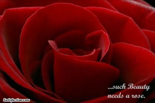 Flowers and Roses MySpace Comments and Graphics