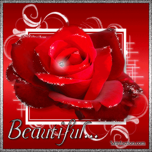 Flowers & Roses Graphics