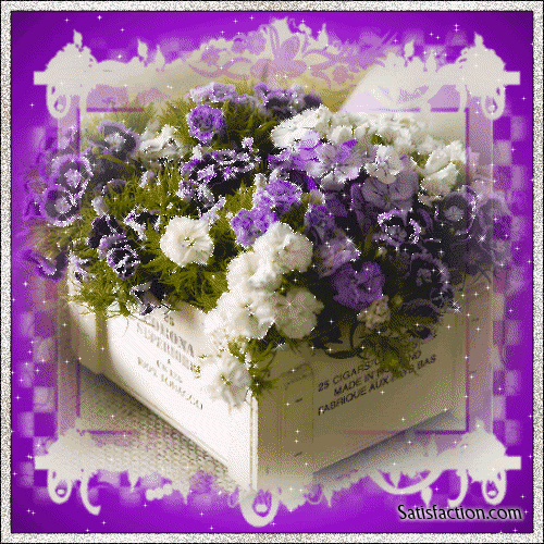 Flowers and Roses Comments, Graphics, eCards for Facebook, MySpace