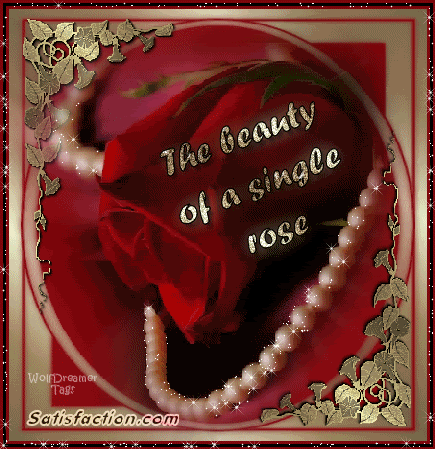 Flowers and Roses MySpace Comments and Graphics