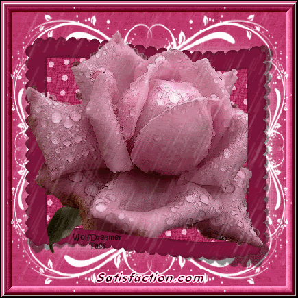 Flowers and Roses Comments and Graphics for MySpace, Tagged, Facebook