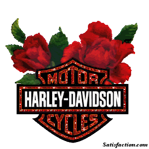 Harley Davidson Motorcycles Images