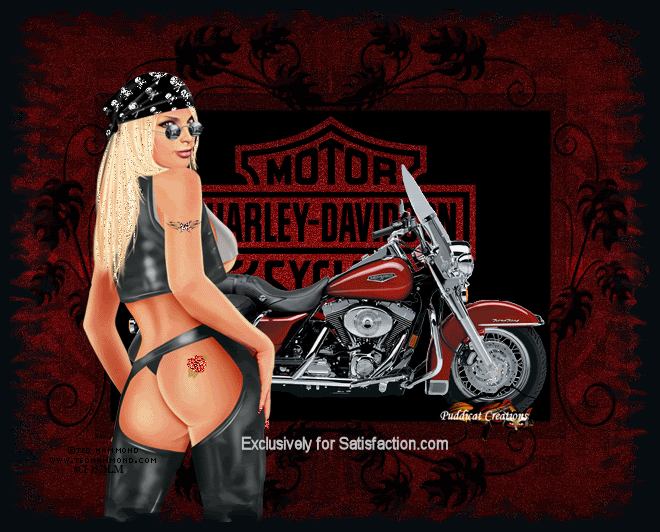MySpace Comments - Harley Davidson
