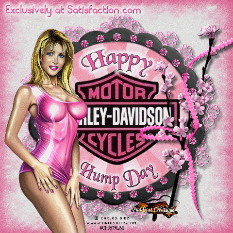 Harley Davidson Motorcycles Pictures, Comments, Images, Graphics, Photos