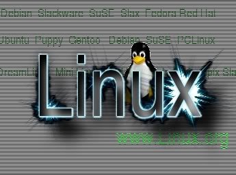 Linux.jpg