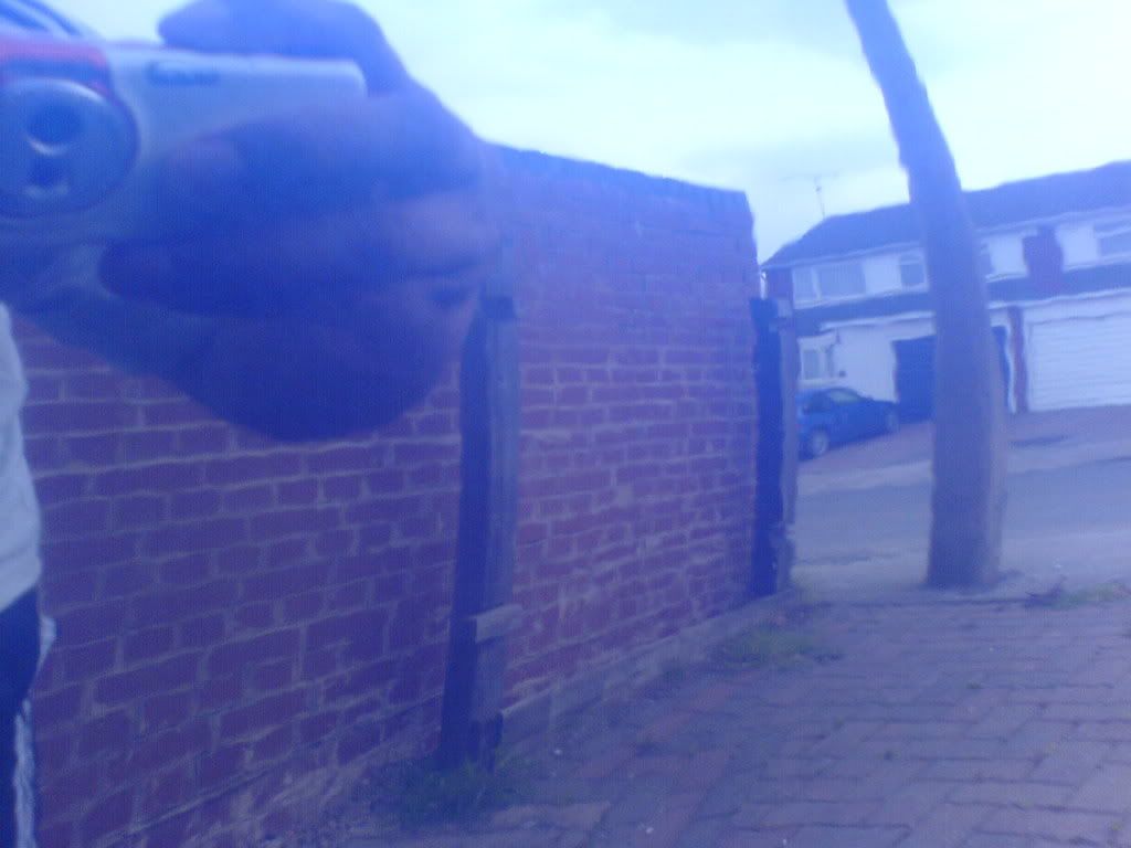DSC00648.jpg