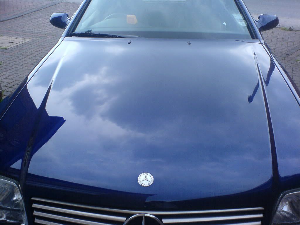 DSC00651.jpg