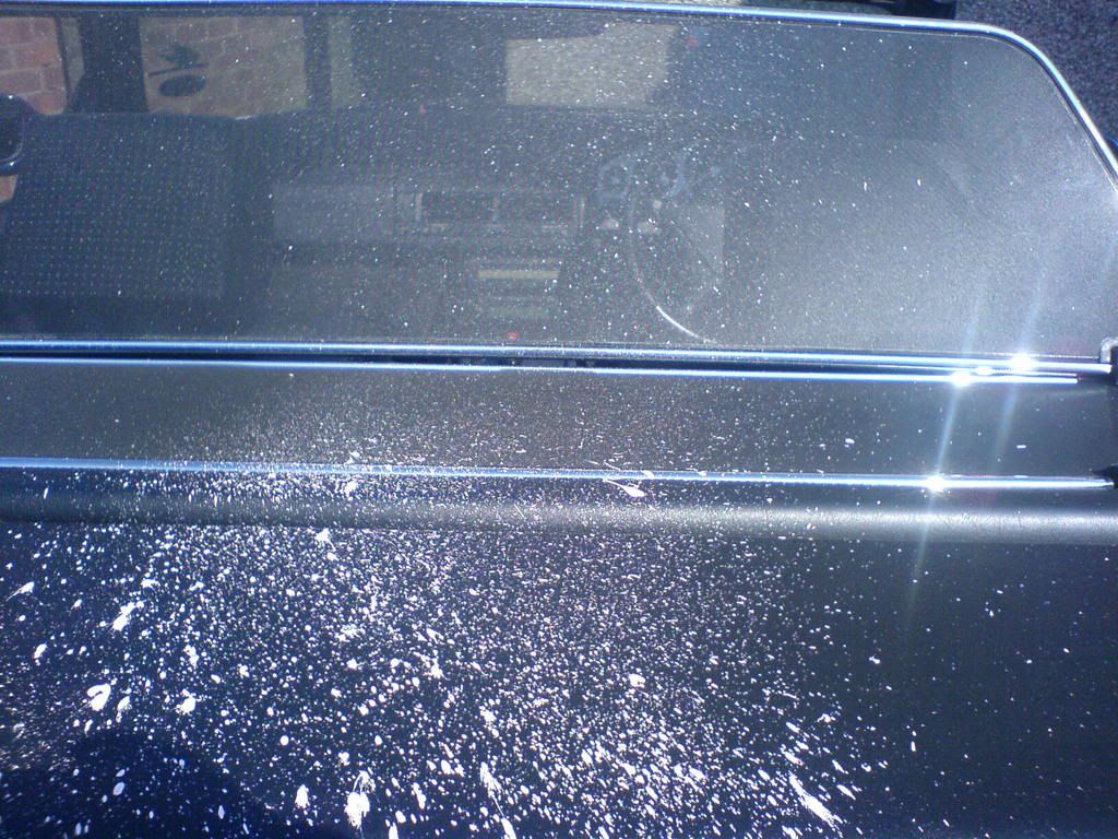 Picture009.jpg