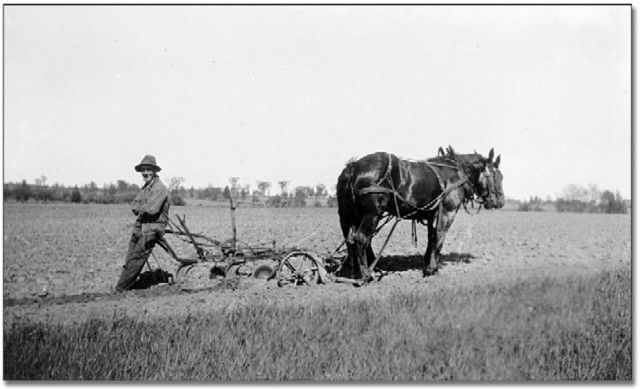  photo farmer and horse.jpg