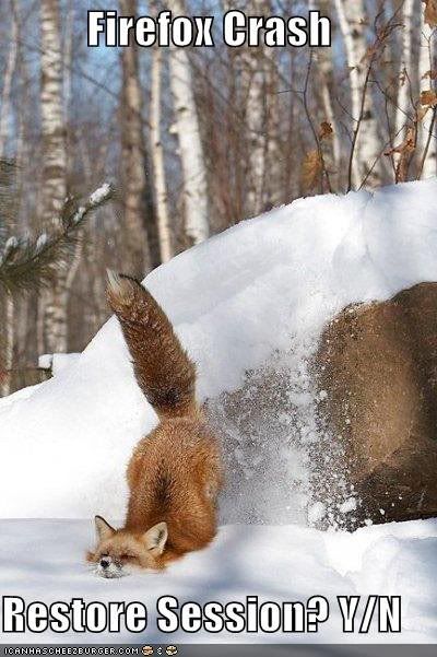 funny_pictures_firefox_crash_snow_1_.jpg