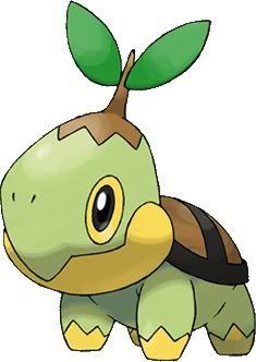 Turtwig.jpg Turtwig image by aqua_sync