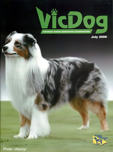 vicdog_july_cover_forums.jpg