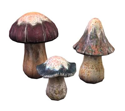 sculptureRockMushrooms.jpg