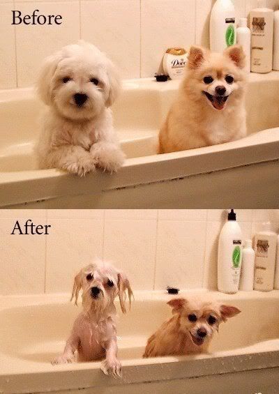 before-after.jpg