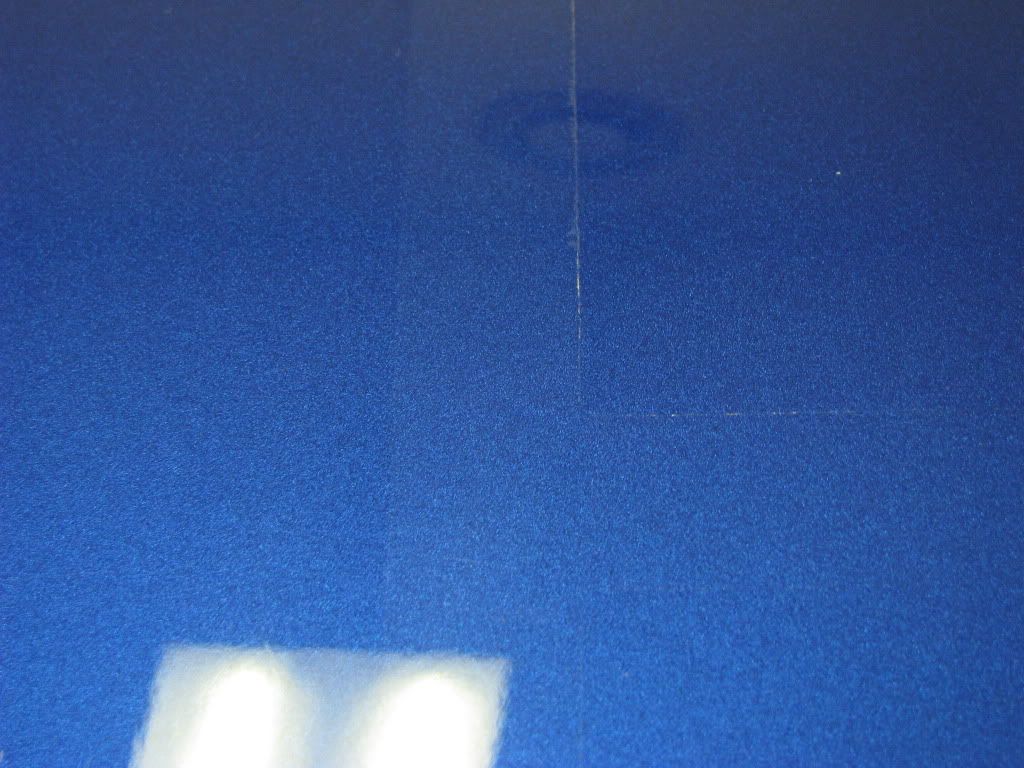 IMG_3139.jpg