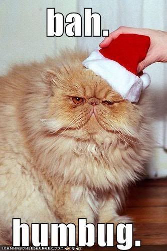 funny-pictures-bah-humbug-cat.jpg