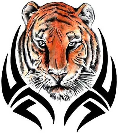 tattoo ideas, tribal tiger tattoo