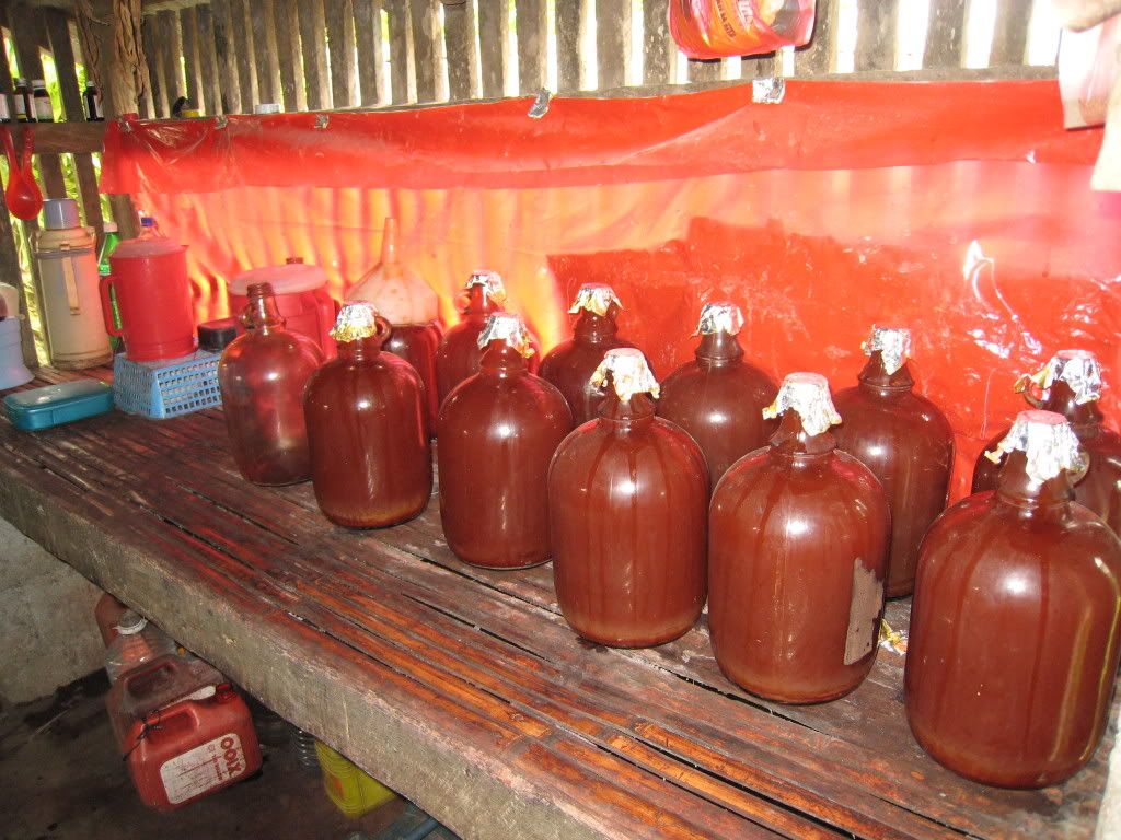 Tuba Ready To Drink Photo by motorcarrier Photobucket