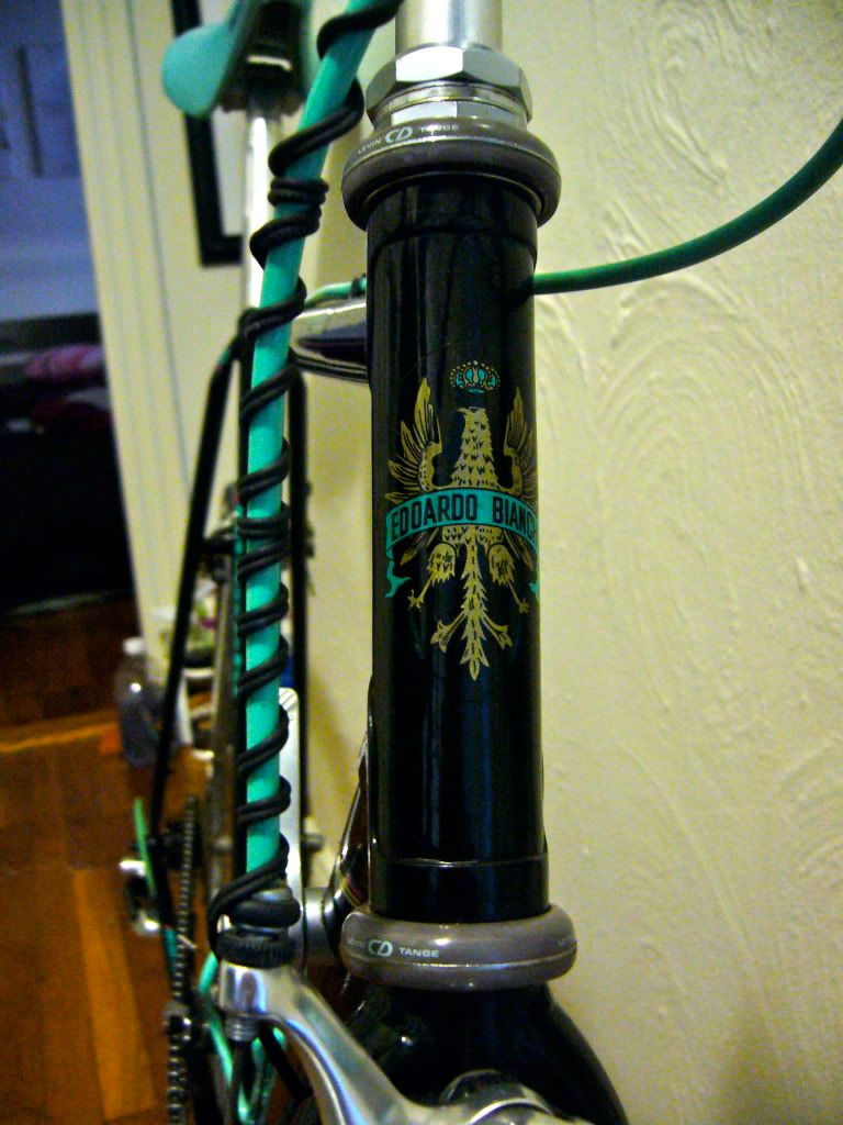 bianchi brava for sale