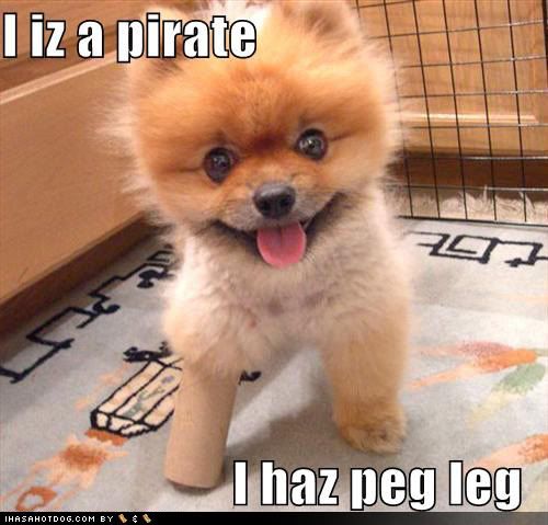 cute-puppy-pictures-peg-leg-pirate.jpg