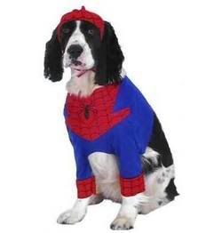 spiderdogthumb_2.jpg