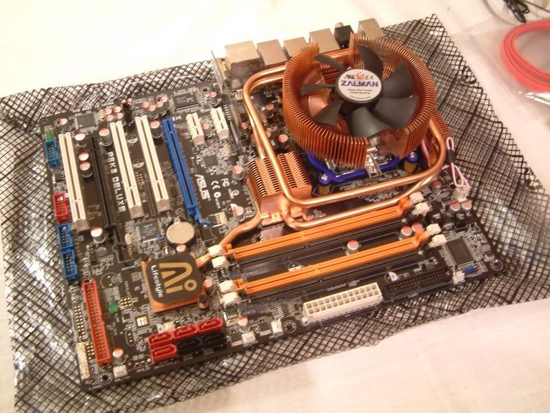 Mobo2.jpg