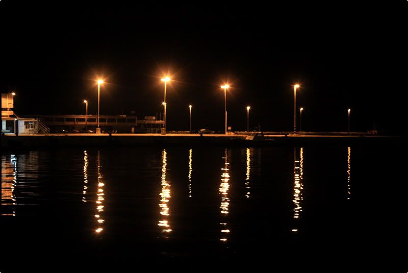 IMG_1310.jpg
