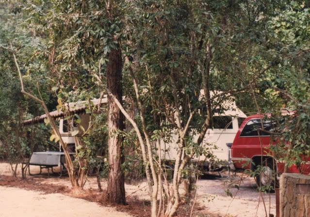 1988-Airstream-Argosy-in-FW.jpg