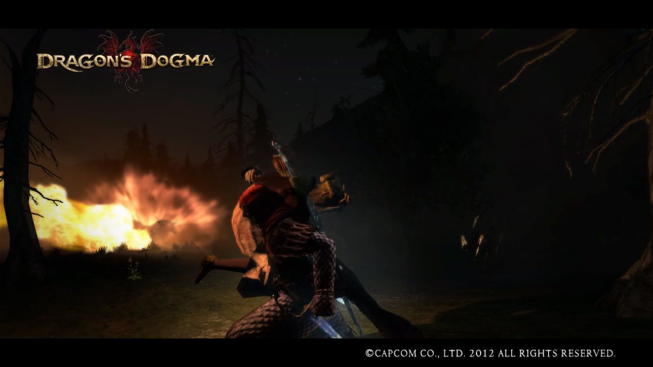 DragonsDogmaScreenshot_39.jpg