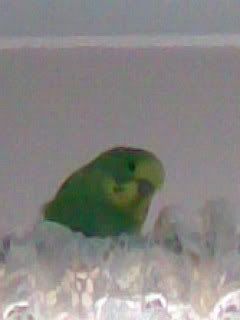 Image004.jpg