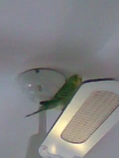 Image005.jpg