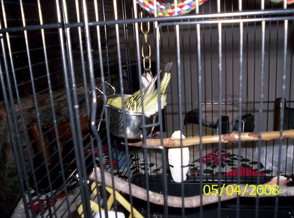 Picture001.jpg