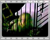 th_Video003.jpg