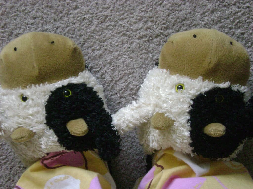 Slippers!