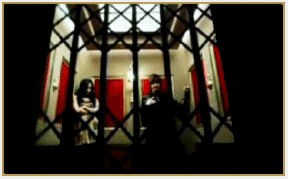 SS501 Pictures, Images and Photos