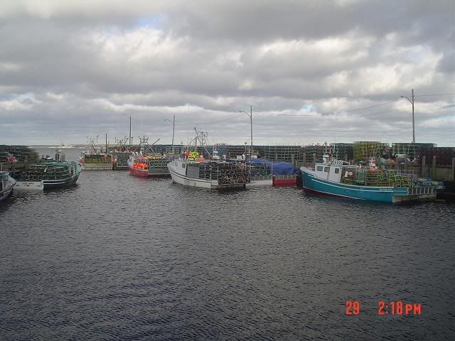 boats003.jpg