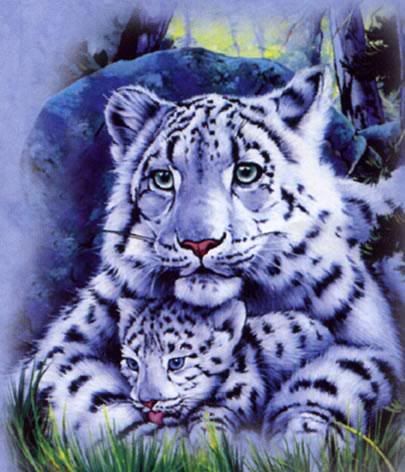 baby white tigers graphics
