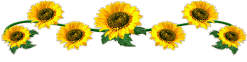 DIVIDER SUNFLOWER YELLOW