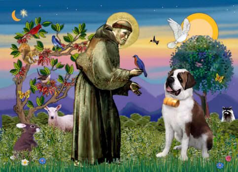 RELIGION ST. FRANCIS OF ASSISI Pictures, Images and Photos