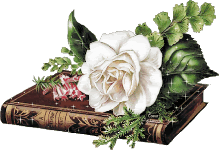 DIVIDER WHITE ROSE BOOK Pictures, Images and Photos