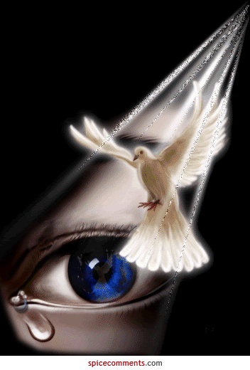 CRY EYE WHITE DOVE HOPE Pictures, Images and Photos