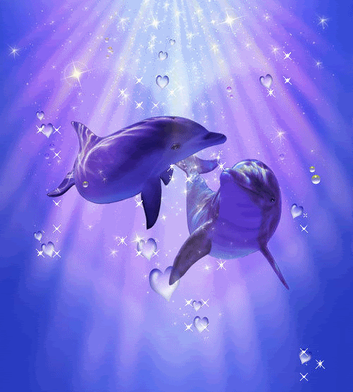 BLUE LAVENDER DOLPHIN LOVE Pictures, Images and Photos