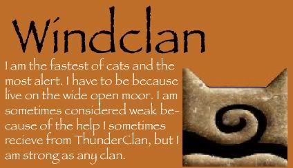 WindClan Pictures, Images and Photos