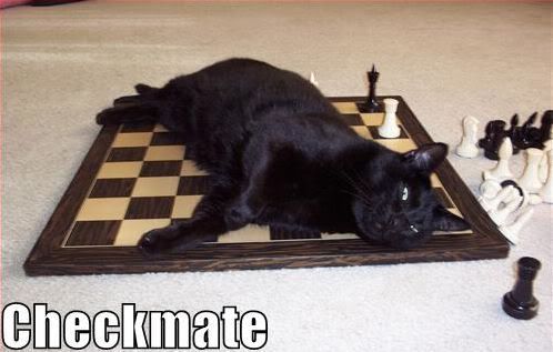 LOLCats22.jpg LOL Cats image by QuirkyTonya